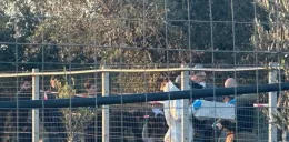 Omicidio di Partinico, fermato il presunto assassino