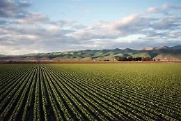 Agricoltura italiana prima in Europa: multifunzionalit&agrave; e qualit&agrave; valgono oltre 41 miliardi