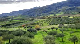 Diga Valentino, l&rsquo;ultima scommessa sull&rsquo;acqua in Sicilia: progetto, dubbi e numeri dell'opera
