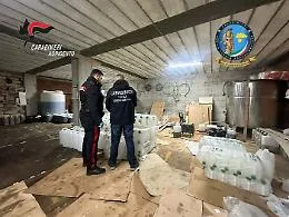 Falso extravergine d'oliva tra clorofilla e betacarotene: 24 indagati nel blitz tra Palma di Montechiaro e la Germania