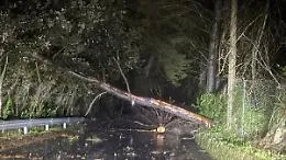 San Martino delle Scale isolata per la caduta di alberi, i residenti: &laquo;Situazione insostenibile, cosa succederebbe in una emergenza?&raquo;