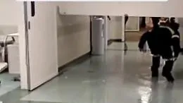 Palermo, crolla un controsoffitto al pronto soccorso dell'ospedale Cervello: ferita un'operatrice, pazienti evacuati