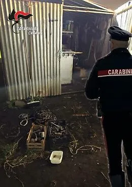 Faceva da "palo" a due complici durante un furto in una campagna: arrestato 
