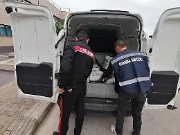 Alimenti avariati e non tracciati, tre denunce e 82 chili di pesce sequestrato