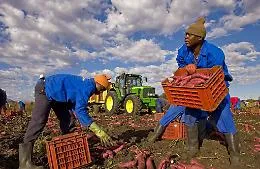 Vittoria, impieg&ograve; un lavoratore senza permesso di soggiorno: condannato a 4 mesi di reclusione e 4mila euro di multa