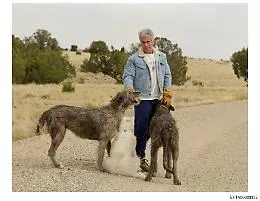 I nuovi &ldquo;Epstein Files&rdquo; e i nomi oscurati, ma chi li ha visti parla di figura &ldquo;molto in alto&rdquo; in un governo estero, di &ldquo;un personaggio molto noto&rdquo; e di un "sultano"
