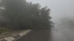 Primi danni del forte vento a Ragusa, cade un albero in zona Selvaggio