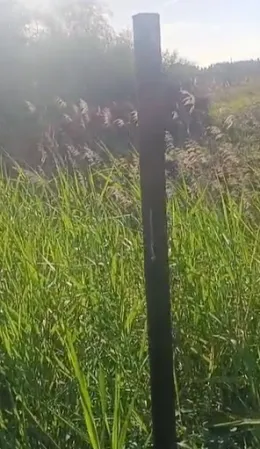 SP212 a Vaccarizzo nel degrado: buche, rifiuti e fermate AMTS senza segnaletica