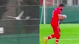 Pazzesco in Turchia, calciatore rianima un gabbiano dopo una pallonata. Il video virale