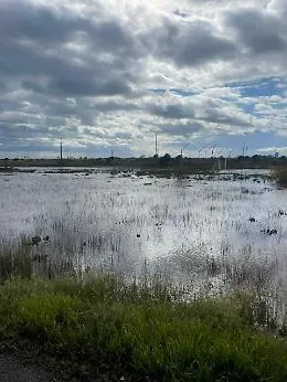 Primosole Beach in ginocchio, residenti esasperati chiedono di togliere fango e detriti: "Vogliamo tornare a casa"