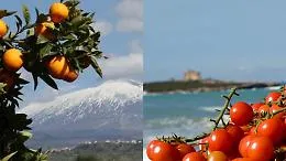 Sicilia, un&rsquo;alleanza di fuoco e pietra lavica: nasce il maxi-distretto che unisce agroalimentare e turismo