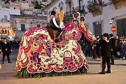 Cavalcata di San Giuseppe a Scicli, le denunce della Lav di Ragusa