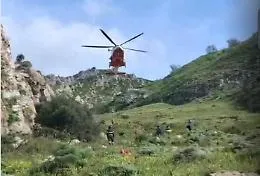 Bovino intrappolato nel fango salvato con l'elicottero dai vigili del fuoco