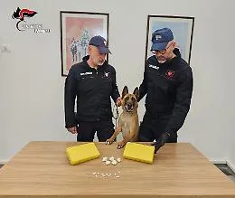 Palermo, due chili di cocaina nel vano della cucina a gas: stop a un giro da 300mila euro, arrestato un 34enne