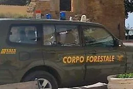 Una vita da precaria, operaia forestale ricever&agrave; l'indennizzo: la sentenza della Cassazione 