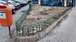Aiuola tra via Giacomo Leopardi e via Principe Nicola rasa al suolo: siepi, oleandri e una giovane jacaranda tranciati