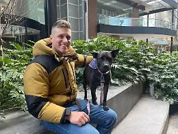 ChatGPT al servizio di Rosie: il vaccino anticancro su misura per il cane nato con l'Intelligenza Artificiale