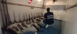 Stretta sul pesce illegale in Sicilia orientale, maxi blitz in mare e a terra: sequestri e multe
