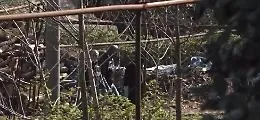 Il blitz dei Nocs della Polizia sventa un assalto al porta valori: il video dell'intervento delle forze speciali
