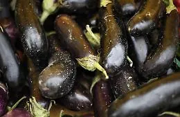 Melanzane a 3,20 euro al chilo, pomodoro datterino a 4: perch&eacute; i prezzi dell'ortofrutta (siciliana) sono esplosi
