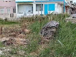 Donnalucata, protestano i residenti: "Altro che spiagge pulite, qui &egrave; un disastro"