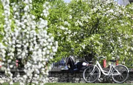 "Ribaltone" meteo per Pasqua e Pasquetta: sar&agrave; finalmente Primavera?