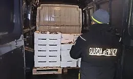 Sequestrati 400 kg di pesce non tracciato: tre sanzioni e cibo devoluto in beneficenza
