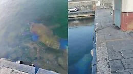 Ognina, torna l&rsquo;allarme: &laquo;Macchia di nafta nel porticciolo, silenzi dopo le segnalazioni&raquo;