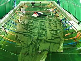 Marausa II e Gela II tornano alla luce: la Sicilia lancia la rete dei musei del mare