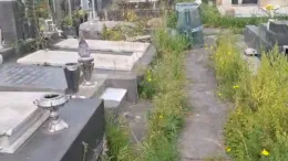 Visite tra i rovi: al cimitero di Catania manca anche la sicurezza