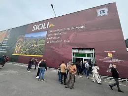 Vinitaly 2026, l'eccellenza &egrave; di Canicatt&igrave;: l'Istituto agrario Galilei vince il concorso nazionale enologico