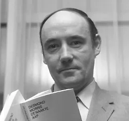 Ci lascia Desmond Morris, l'etologo e pittore autore di "La scimmia nuda"