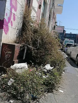 Via D'Amico, il biglietto da visita sporco di Catania: turisti e residenti ignorati