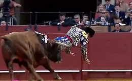 Siviglia, il toro incorna il torero proprio l&igrave;: Morante de la Puebla &egrave; in gravi condizioni