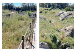 Quando la natura soffoca la storia: turisti tra meraviglia e contraddizione