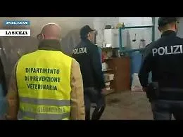 Dalla segnalazione di un cittadino di un video scoperte stalle fantasma a San Cristoforo VIDEO 