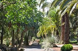 Il parco Ettore Patern&ograve; del Toscano torna a splendere: prato, roseto e spazi per sport e relax