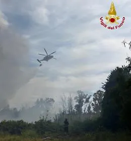 Paura al lido Arenella: vasto incendio alimentato dal vento, famiglia evacuata
