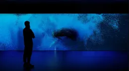 La mostra della Biennale di Venezia lodata dal New York Times: balene, plancton e alberi in una sola grande voce
