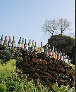 "Sulle bucce" i produttori artigianali di vino dell'Etna ai Mercati Generali