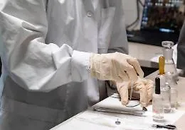 Basso il rischio Hantavirus per la popolazione in Europa, cosa c'&egrave; da sapere