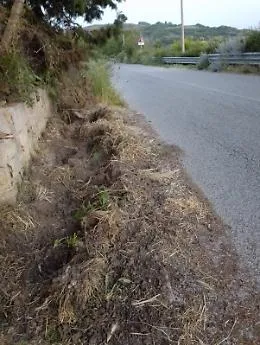 Monterosso, scontro tra auto e cinghiale in contrada Pantano/Montagno: torna l'allarme