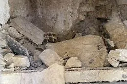 Modica, crollano le tombe e spunta anche un teschio