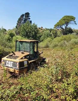 Al via a Catania le linee tagliafuoco per la prevenzione degli incendi: dove saranno impiegati i 460.000 euro disponibili