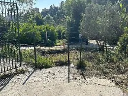 Omicidio a Palermo, il sedicenne sotto torchio: la sua versione non convince, ecco perch&egrave;