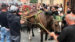 L'ultimo viaggio di Turi "Zicchinetta": il feretro sul calessino e il carosello di scooter VIDEO