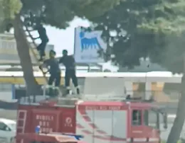 Vittoria, salvato un gattino che si era arrampicato in cima a un albero monumentale