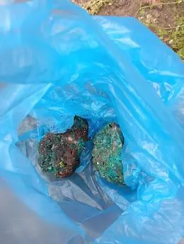 Catania, le polpette al veleno intossicano un cane. Esposto degli animalisti