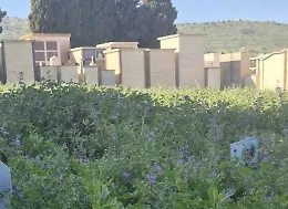 Comiso, nel degrado l'area cimiteriale cittadina