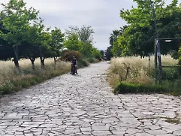 Parco Robinson in degrado: uno dei pochi polmoni verdi di Siracusa abbandonato